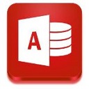 Microsoft Access 2019中文版