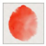 Expresii(水墨画软件)