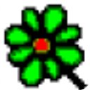 实用英语语法速查软件