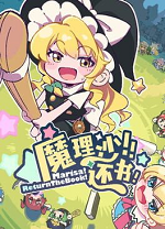 魔理沙！还书！