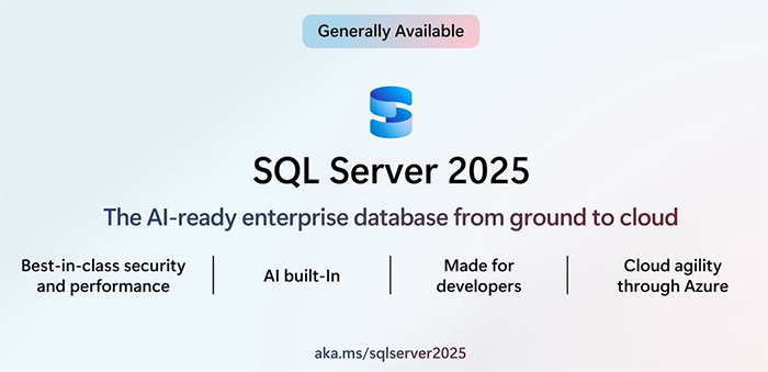 sql server 2025中文企业开发者版