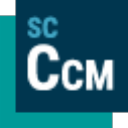 Siemens Star CCM+ 2410中文版