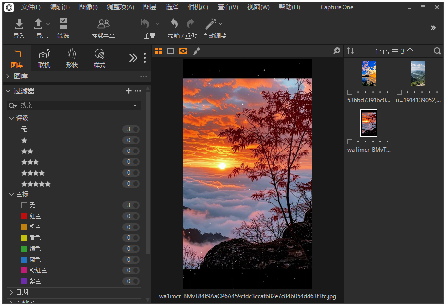Capture One Pro / Enterprise中文版