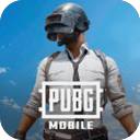 pubgmobile4.3(进化宇宙)官方正版