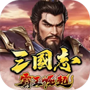 三国志霸王崛起