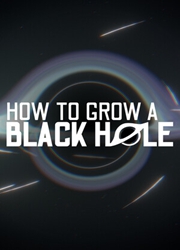 如何培育黑洞(How To Grow a Black Hole)